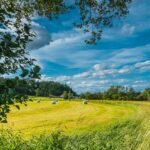 germany, field, sky